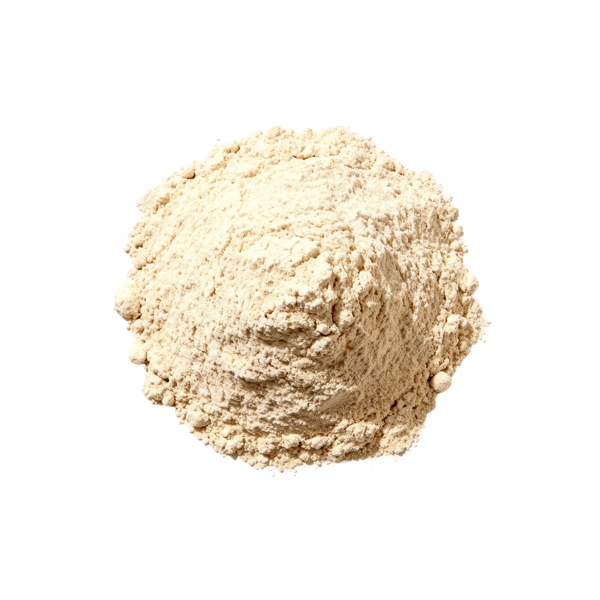 Bio Proteinpulver Vanille